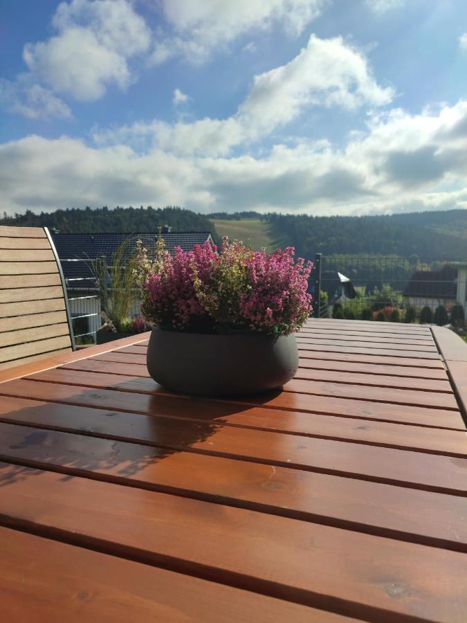 Fewo Poenblick Willingen (Upland) Exterior foto